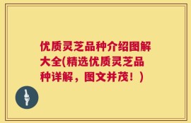 优质灵芝品种介绍图解大全(精选优质灵芝品种详解，图文并茂！)