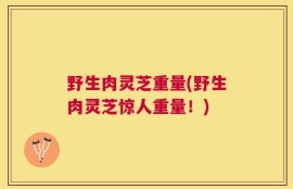 野生肉灵芝重量(野生肉灵芝惊人重量！)
