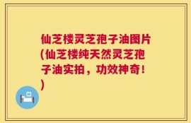 仙芝楼灵芝孢子油图片(仙芝楼纯天然灵芝孢子油实拍，功效神奇！)