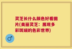 灵芝长什么颜色好看图片(美丽灵芝：展现多彩斑斓的色彩世界)