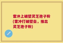 雷冲上破壁灵芝孢子粉(雷冲打破壁垒，推出灵芝孢子粉)