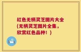 红色无柄灵芝图片大全(无柄灵芝图片全集，欣赏红色品种！)