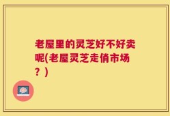 老屋里的灵芝好不好卖呢(老屋灵芝走俏市场？)