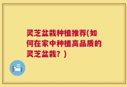 灵芝盆栽种植推荐(如何在家中种植高品质的灵芝盆栽？)