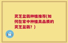 灵芝盆栽种植推荐(如何在家中种植高品质的灵芝盆栽？)