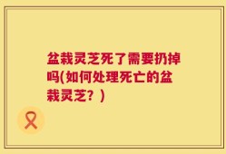 盆栽灵芝死了需要扔掉吗(如何处理死亡的盆栽灵芝？)