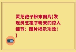 灵芝孢子粉末图片(发现灵芝孢子粉末的惊人细节：图片揭示功效！)