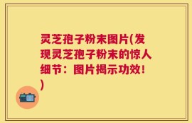 灵芝孢子粉末图片(发现灵芝孢子粉末的惊人细节：图片揭示功效！)