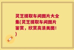 灵芝提取车间图片大全集(灵芝提取车间图片鉴赏，欣赏高清美图！)