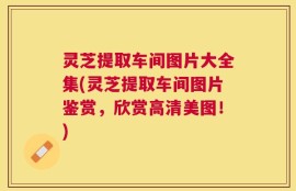 灵芝提取车间图片大全集(灵芝提取车间图片鉴赏，欣赏高清美图！)