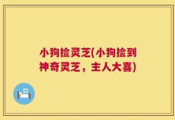 小狗捡灵芝(小狗捡到神奇灵芝，主人大喜)