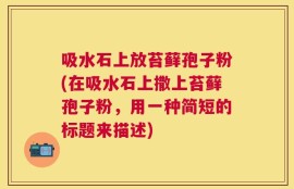 吸水石上放苔藓孢子粉(在吸水石上撒上苔藓孢子粉，用一种简短的标题来描述)