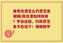 用夜光漂怎么钓灵芝鱼视频(夜光漂如何利用？学会这招，钓到灵芝鱼不在话下！视频教学)