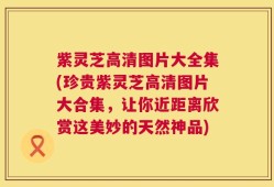 紫灵芝高清图片大全集(珍贵紫灵芝高清图片大合集，让你近距离欣赏这美妙的天然神品)