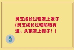 灵芝成长过程罩上罩子(灵芝成长过程防晒有道，头顶罩上帽子！)