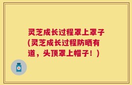 灵芝成长过程罩上罩子(灵芝成长过程防晒有道，头顶罩上帽子！)