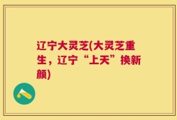 辽宁大灵芝(大灵芝重生，辽宁“上天”换新颜)