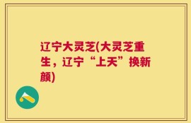 辽宁大灵芝(大灵芝重生，辽宁“上天”换新颜)