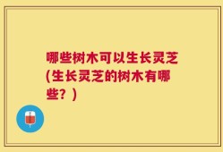 哪些树木可以生长灵芝(生长灵芝的树木有哪些？)