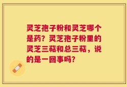 灵芝孢子粉和灵芝哪个是药？灵芝孢子粉里的灵芝三萜和总三萜，说的是一回事吗？
