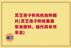 灵芝孢子粉风机收粉图片(灵芝孢子粉收集器带来便利，操作简单效率高)