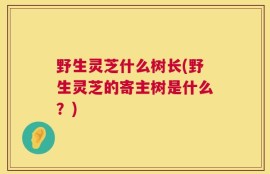 野生灵芝什么树长(野生灵芝的寄主树是什么？)