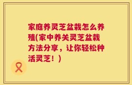 家庭养灵芝盆栽怎么养殖(家中养关灵芝盆栽方法分享，让你轻松种活灵芝！)