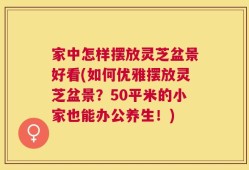 家中怎样摆放灵芝盆景好看(如何优雅摆放灵芝盆景？50平米的小家也能办公养生！)