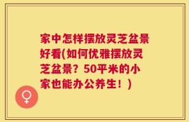 家中怎样摆放灵芝盆景好看(如何优雅摆放灵芝盆景？50平米的小家也能办公养生！)