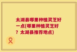 太湖县哪里种植灵芝好一点(哪里种植灵芝好？太湖县推荐地点)