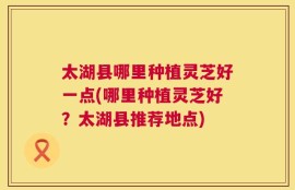 太湖县哪里种植灵芝好一点(哪里种植灵芝好？太湖县推荐地点)