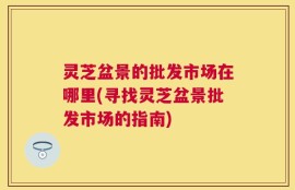 灵芝盆景的批发市场在哪里(寻找灵芝盆景批发市场的指南)