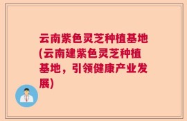 云南紫色灵芝种植基地(云南建紫色灵芝种植基地，引领健康产业发展)