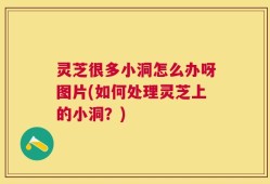 灵芝很多小洞怎么办呀图片(如何处理灵芝上的小洞？)