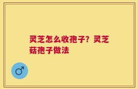 灵芝怎么收孢子？灵芝菇孢子做法