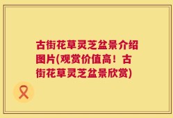 古街花草灵芝盆景介绍图片(观赏价值高！古街花草灵芝盆景欣赏)