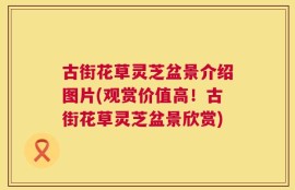 古街花草灵芝盆景介绍图片(观赏价值高！古街花草灵芝盆景欣赏)