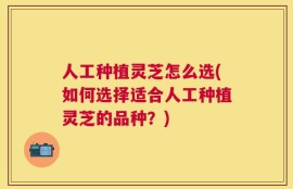 人工种植灵芝怎么选(如何选择适合人工种植灵芝的品种？)