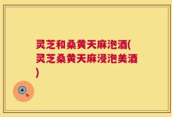 灵芝和桑黄天麻泡酒(灵芝桑黄天麻浸泡美酒)
