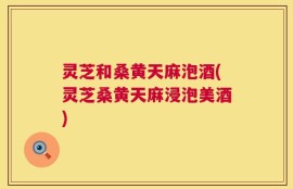 灵芝和桑黄天麻泡酒(灵芝桑黄天麻浸泡美酒)