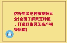仿野生灵芝种植视频大全(全面了解灵芝种植，打造野生灵芝高产视频指南)