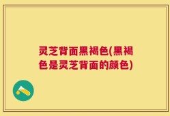 灵芝背面黑褐色(黑褐色是灵芝背面的颜色)
