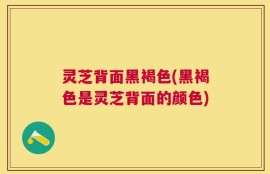 灵芝背面黑褐色(黑褐色是灵芝背面的颜色)