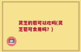 灵芝的苞可以吃吗(灵芝苞可食用吗？)