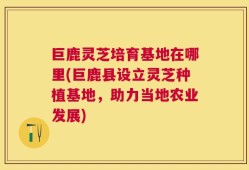 巨鹿灵芝培育基地在哪里(巨鹿县设立灵芝种植基地，助力当地农业发展)