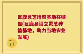 巨鹿灵芝培育基地在哪里(巨鹿县设立灵芝种植基地，助力当地农业发展)