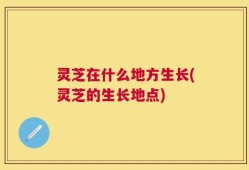 灵芝在什么地方生长(灵芝的生长地点)