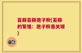 苔藓苔藓孢子粉(苔藓的繁殖：孢子粉是关键)
