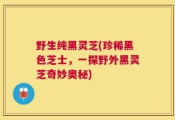 野生纯黑灵芝(珍稀黑色芝士，一探野外黑灵芝奇妙奥秘)
