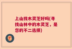 上山找木灵芝好吗(寻找山林中的木灵芝，是您的不二选择)